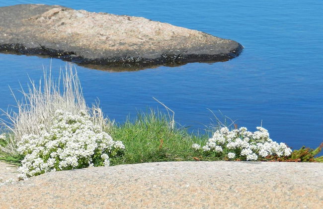 5 Person Holiday Home in Lysekil - Foto 21