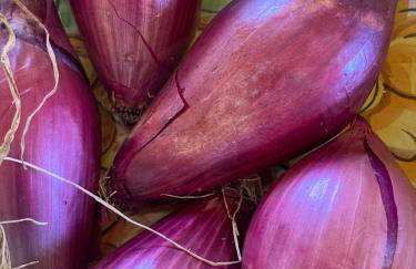 Casa San Rocco - Foto 36