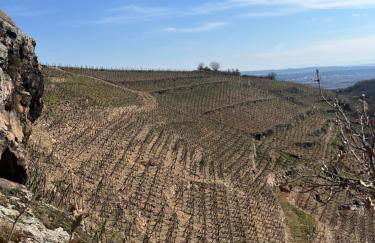 Au Cœur des Vignes - Foto 12