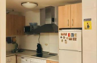 Sallent de Gállego - Formigal - Pirineos Sur - Foto 18