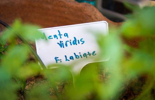 Agrilos Sea View House - Foto 34