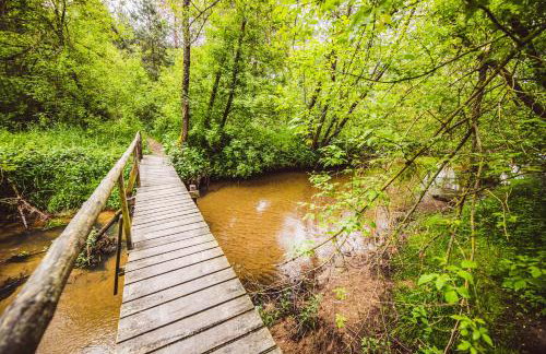 Autumn Nature Cottage Stove Garden by PolandBnB - Foto 71