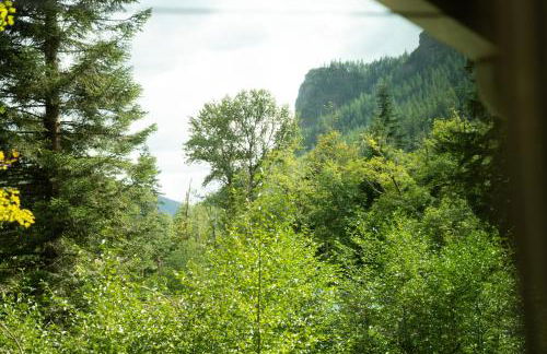 Forest Escape at Wilderness Rim - Foto 21