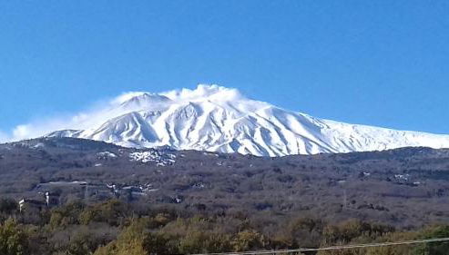Il Noccioleto - Foto 4