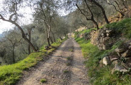 Borgata Castello - Foto 17