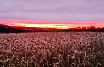 Stodoła Rzym - domek, jacuzzi, sauna, jezioro, las - Foto 18