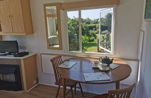 Meadow Bluebird - Foto 9