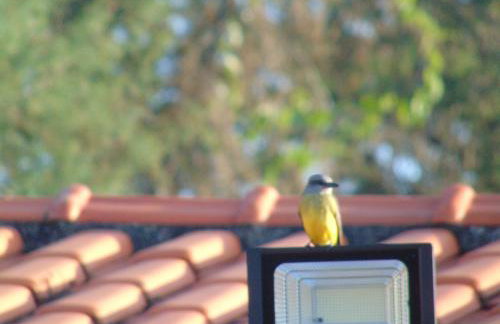 Rancho do Colega - Foto 45