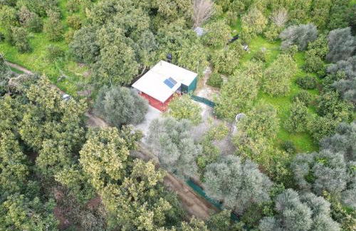 Lemon Garden Camper - Photo 40