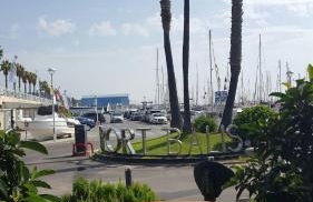 Oasis cerca de Barcelona - Photo 32