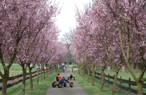 Landferienhof Garbert - Foto 2