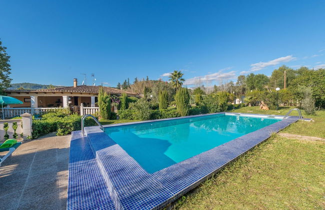 Hibiscus in Sa Pobla - Foto 1