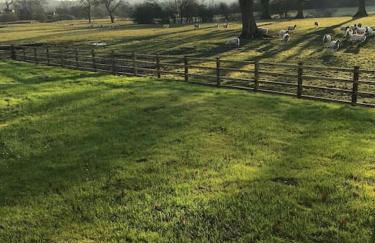 Stylish 2 Bed Near Alton Towers, Polar Bears, Peak District - Foto 28