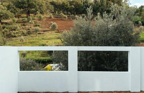 Azeite de Marvão, Olivoturismo casa Venda do Lagar - Foto 26