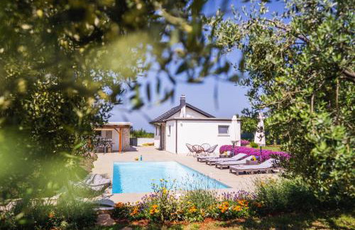 Leonardo House - Foto 2