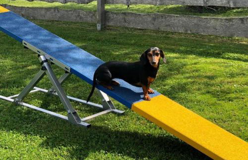 Ferienhaus S`bunde Heisle - Foto 35