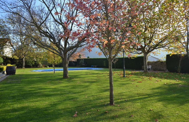 Quinta do Terreiro - Foto 35