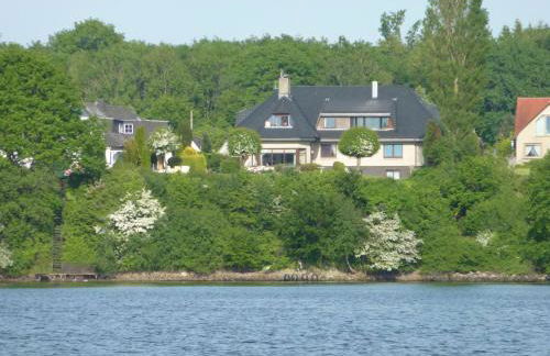 Seeschwalbe - Foto 18