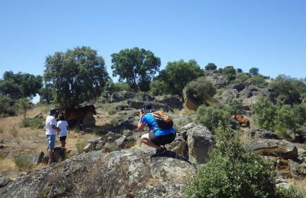 Casa CÔA - Casas de Villar - Rural Experience - Foto 31