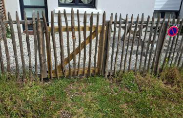 Penvins - Photo 2