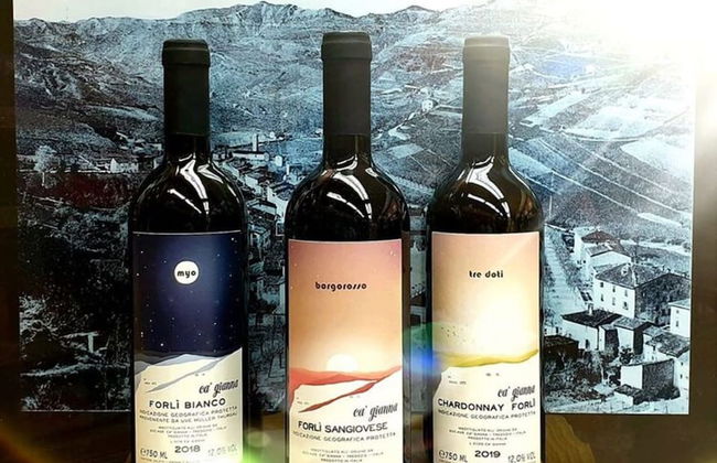 Belvilla by OYO Appartamento Yassine - Foto 8