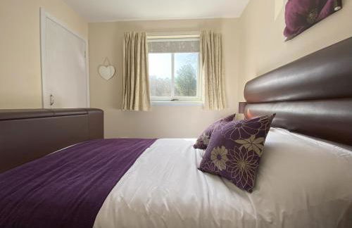 Treetops - Bright 2 Bed Flat - Super Location - Photo 17