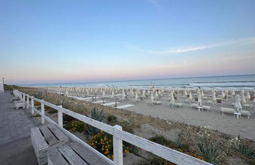 La Conchiglia - Foto 2