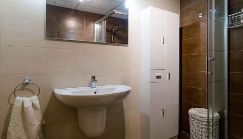 2 big terraces penthouse city center - Photo 4, Shower