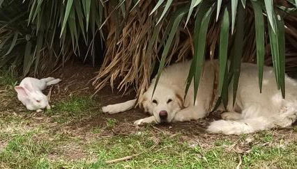 Agriturismo La Talpa - Foto 4