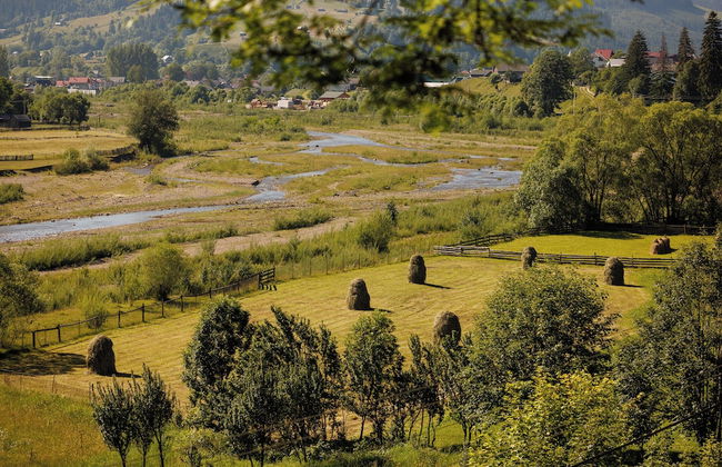 RECONNECT GLAMPING - Foto 29