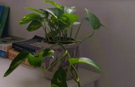 BLE Penthouse at Rotonda - Foto 20