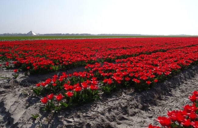 Summer Melody Comfortable Holiday Residence - Foto 23