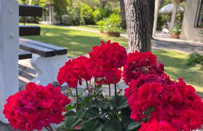 Sani villa of traditional architecture - Foto 12