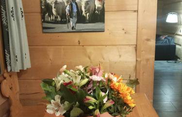 Dom z widokiem na Wierchy - panorama na Tatry - Traditional folk house - Foto 52