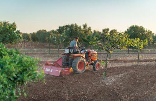 Finca Hotel Can Canals & Spa - Photo 44
