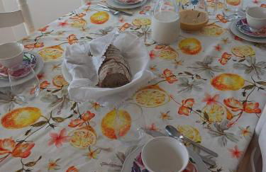 Casa dos pássaros - Foto 22