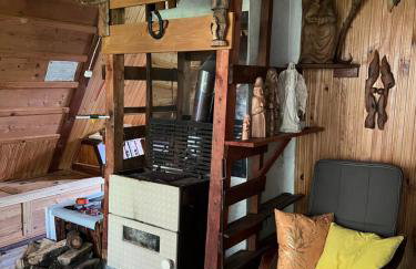 Wilczkiewiczówka - Bieszczadzki Azyl - Photo 10