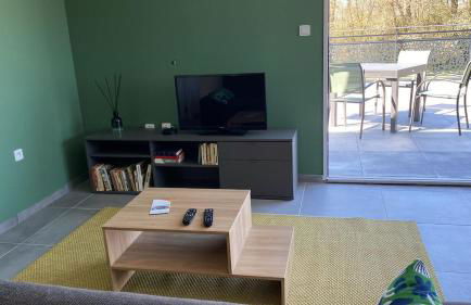 Appartement avec terrasse, proche des 1000 étangs, chapelle Le Corbusier - Foto 14