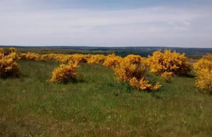 Ferienwohnung Biebes - Foto 27