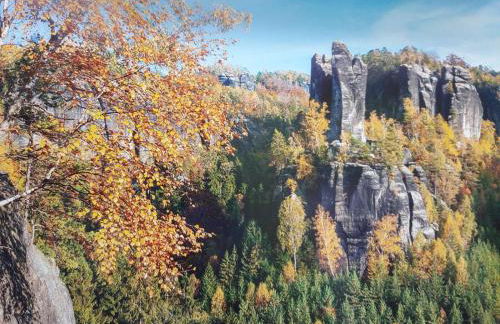 Ferienwohnung-Schrammsteinblick - Foto 41