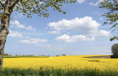 Seewolke 12 - Foto 8