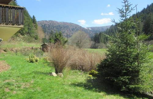 Le chalet des Skieurs Vosges - Foto 13