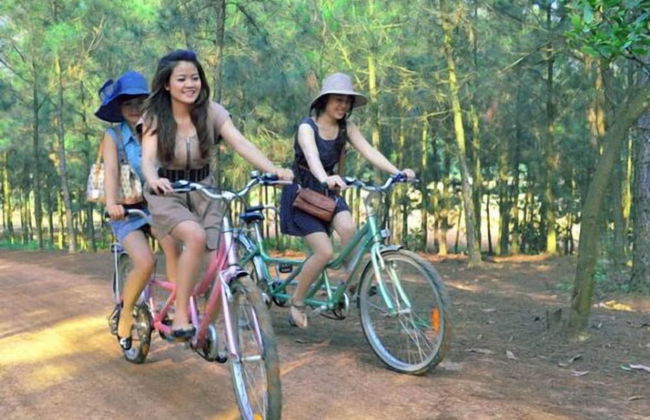 Villa Flamigo Dai Lai Chinh Chu - Photo 77