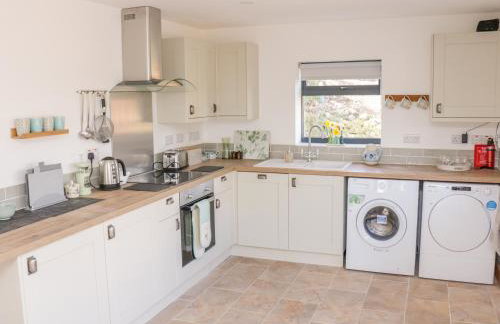 Black Cat Bach - Foto 13