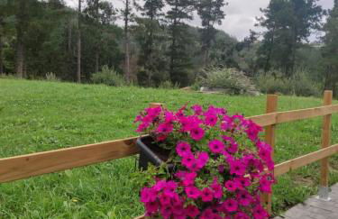 Caserío Ea - Foto 29