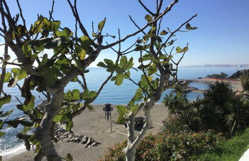 Pueblo Doña Pepa - Foto 28