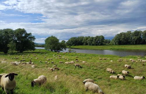 Ferienwohnung Wussegel - Foto 34
