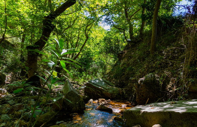 Cottage Home at South Chania near Paliochora - Photo 23