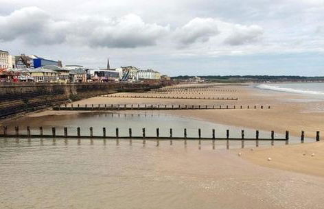 Nelly's Nest - Foto 44