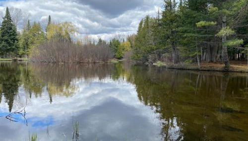 Secluded Au Sable River Home - Foto 4
